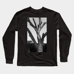 Lightning scarred tree Long Sleeve T-Shirt